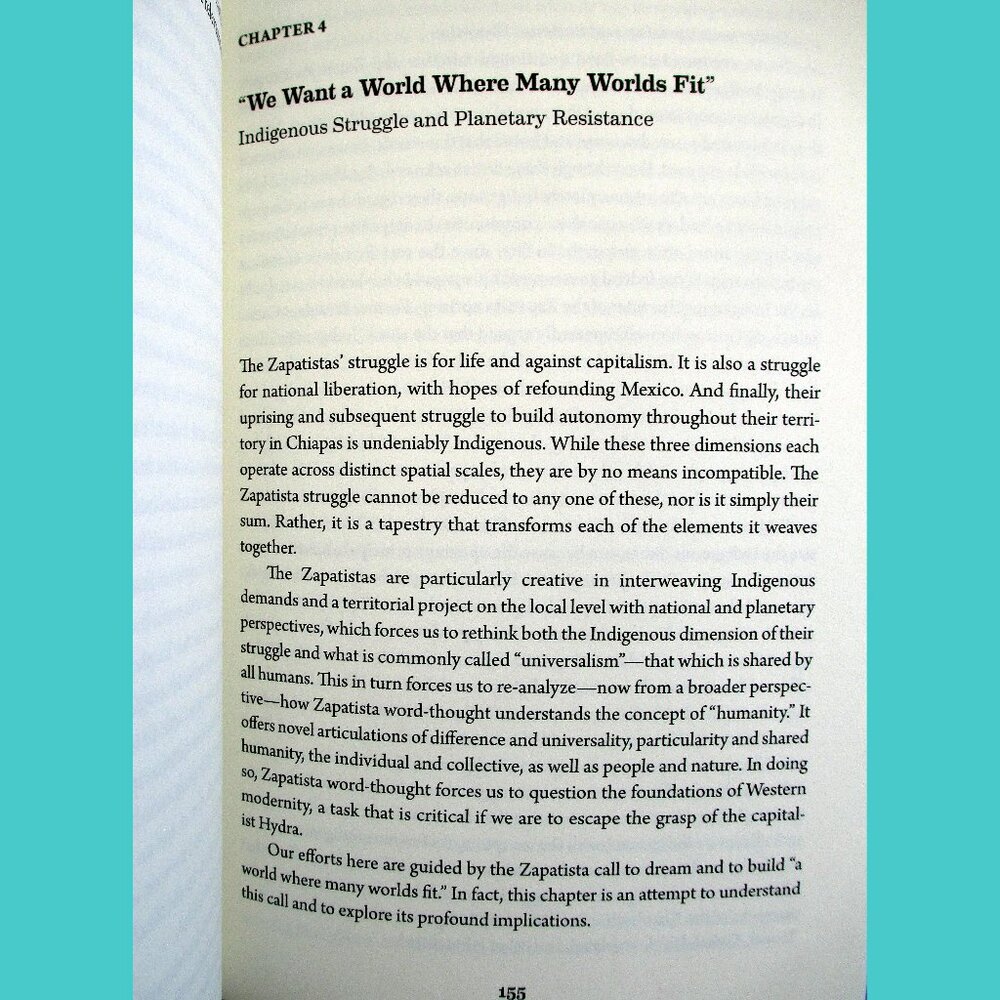 Book -  The Zapatista Experience: Rebellion, Resistance, and Autonomy - Picture 10 of 13